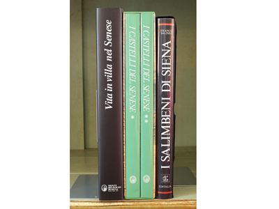 Lotto di Libri D'arte su Siena