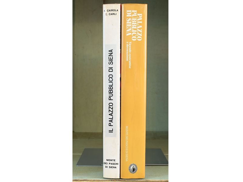 Lotto di Libri sui Palazzi di Siena