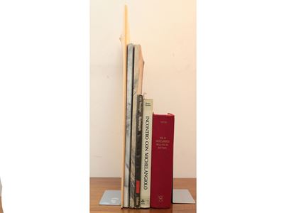 Lotto di Libri D'arte: Michelangelo
