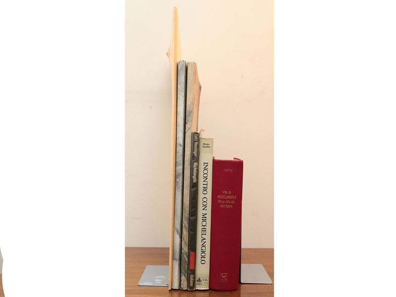 Lotto di Libri D'arte: Michelangelo