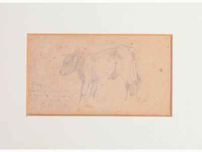 Lotto di Disegni