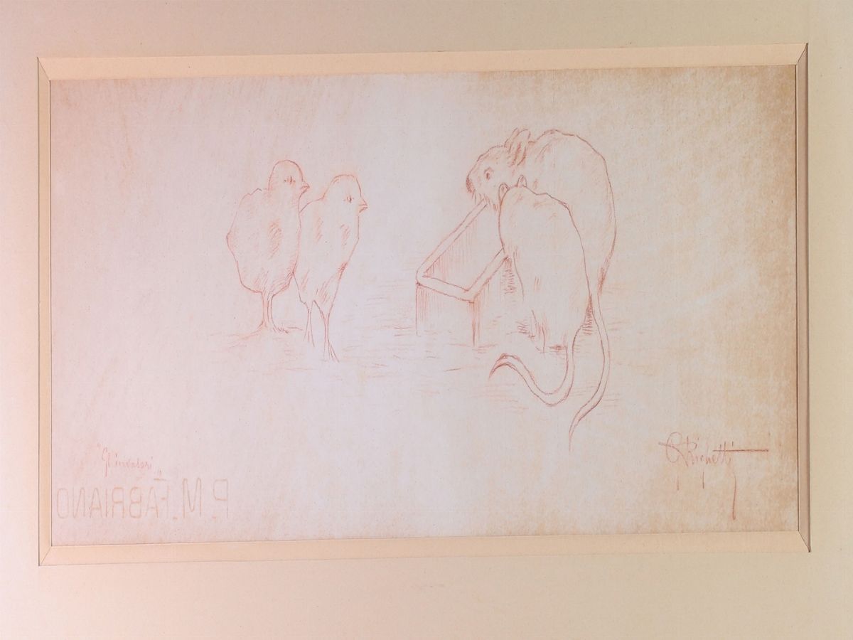 Guido Righetti - Studi di Animali