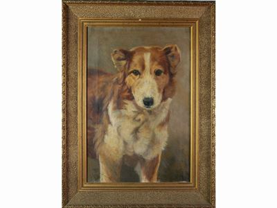 Ritratto di Cane