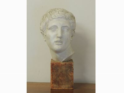 Testa Maschile in Gesso