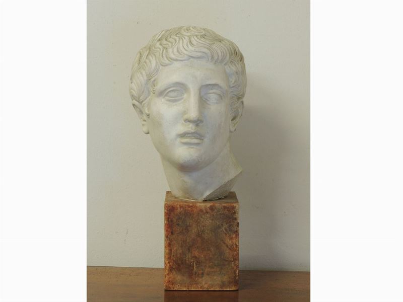 Testa Maschile in Gesso