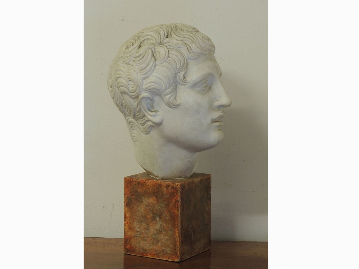Testa Maschile in Gesso