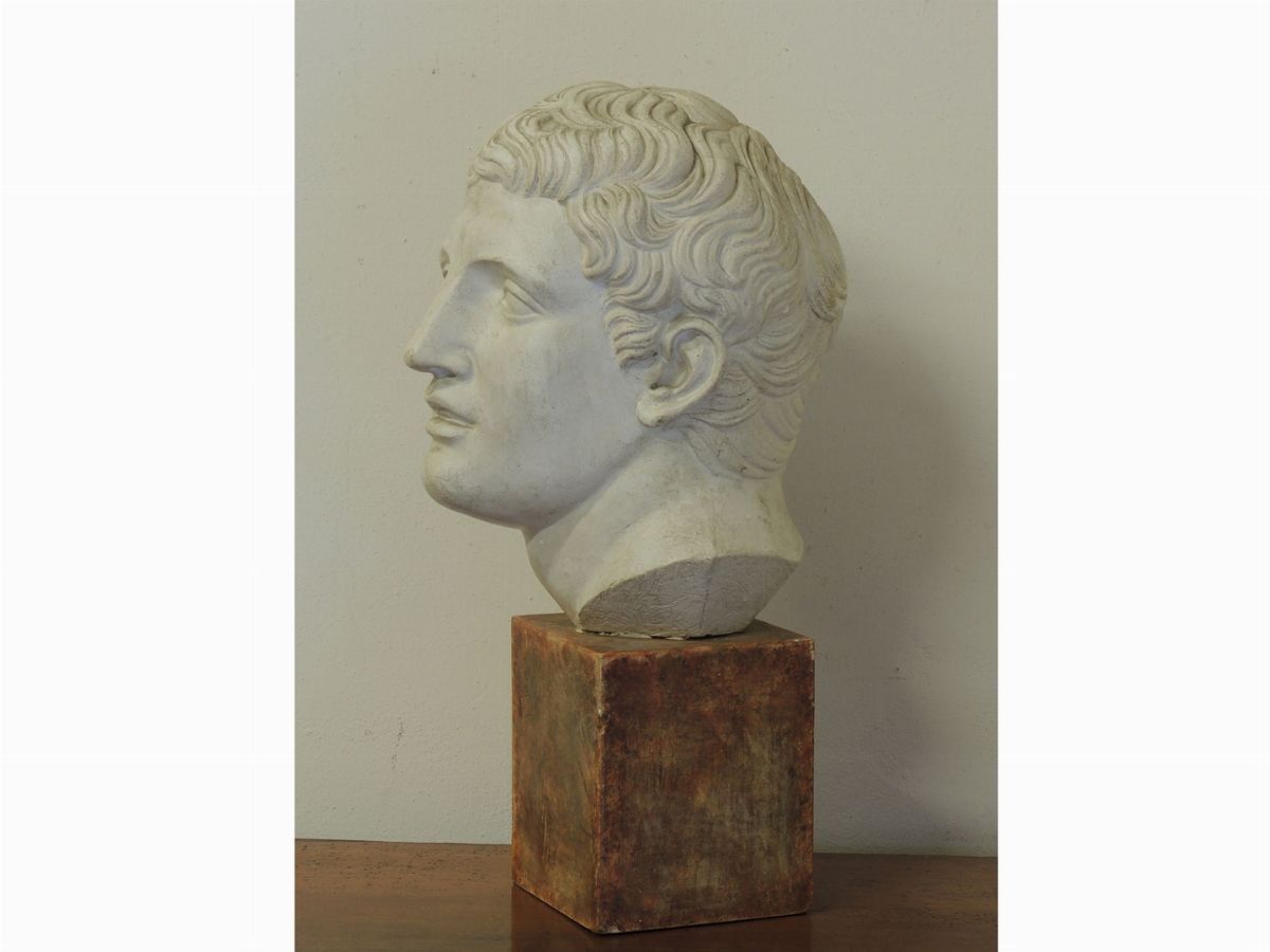 Testa Maschile in Gesso