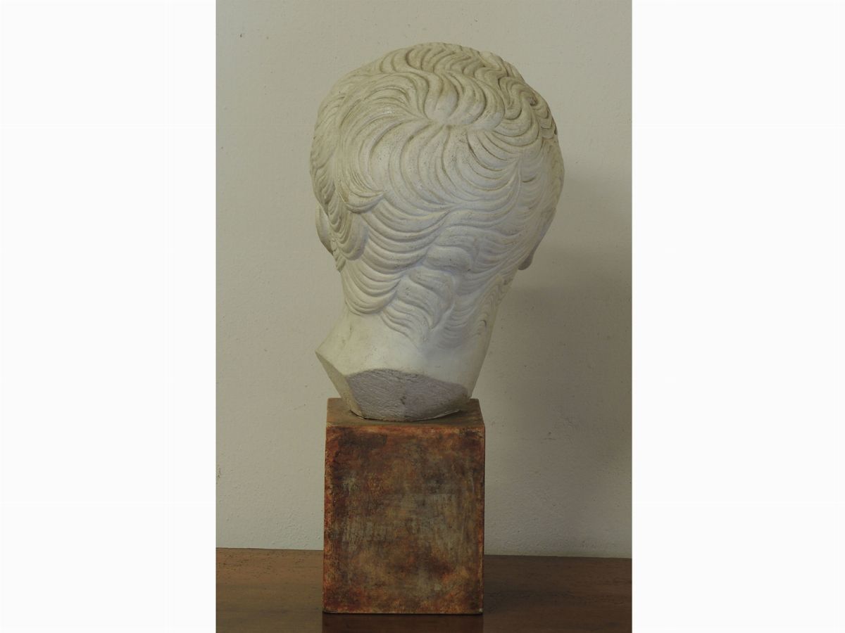 Testa Maschile in Gesso
