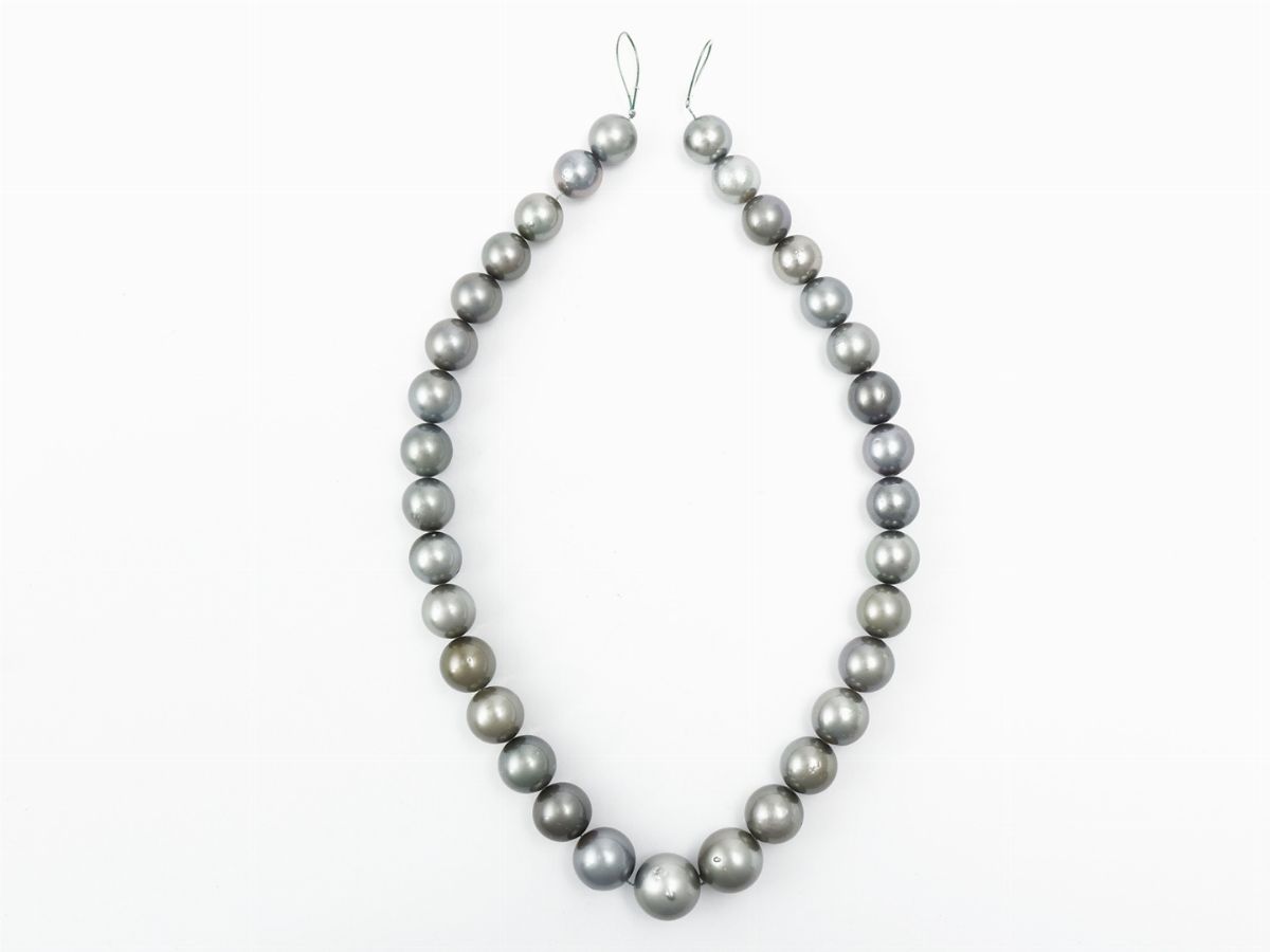 Filo Scalare di Perle Coltivate Tahiti Silver