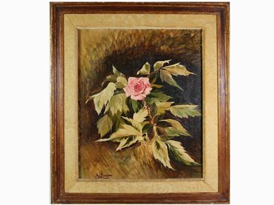 Rosa