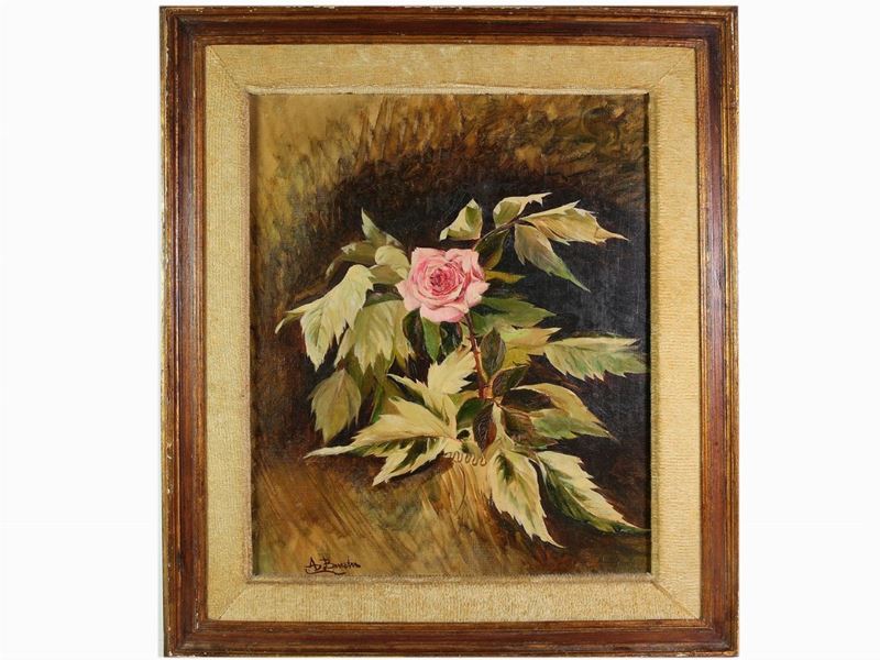 Augusto Burchi - Rosa