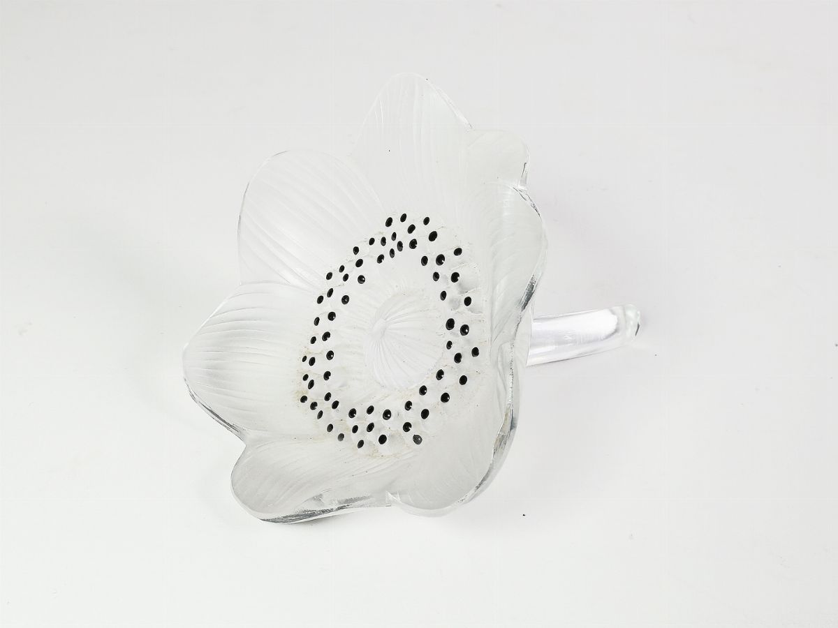 Anemone in Cristallo Lalique