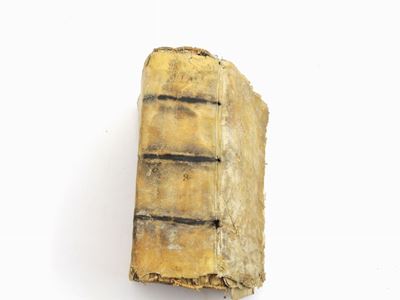 Storia di Villani Cittadino Fiorentino
