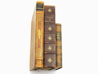 Lotto di Tre Libri Francesi del XIX-XX Secolo