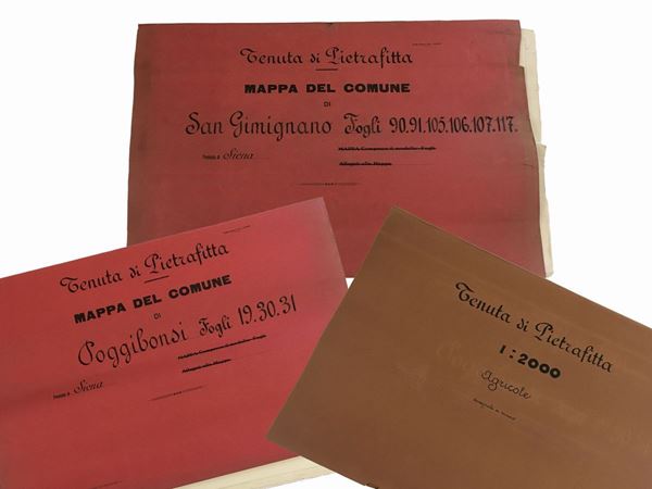 A miscellaneous lot about Savoia property Pietrafitta