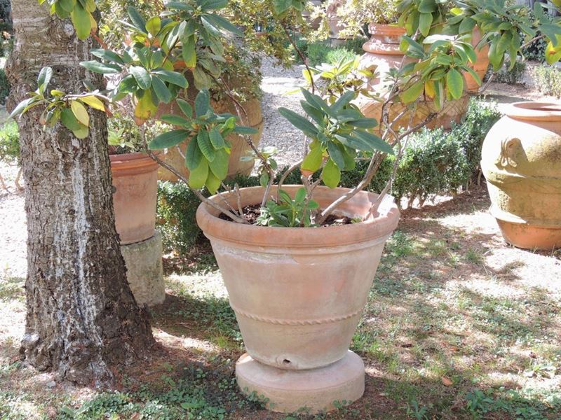 Conca in Terra di Galestro