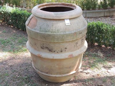 Orcio a Barilotto in Terra di Galestro