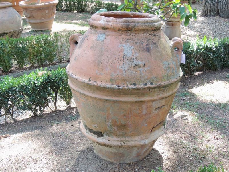 Antico Orcio Biansato in Terra di Galestro