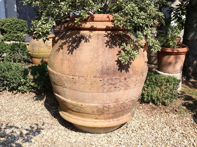 Grande Orcio D'epoca Biansato in Terra di Galestro