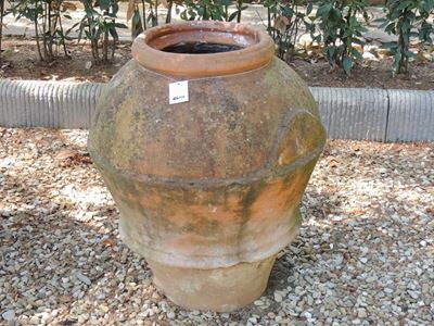 Orcio in Terra di Galestro
