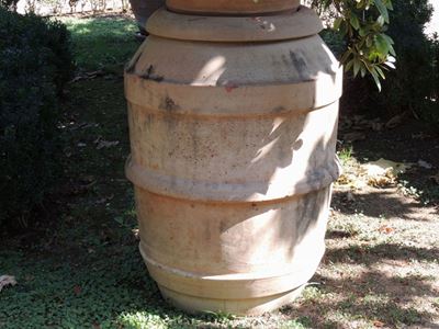Orcio a Barilotto in Terra di Galestro