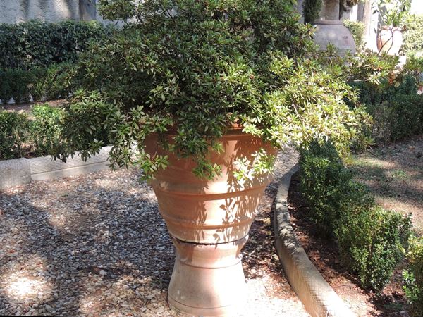 An ancient galestro terracotta basin with a large azalea plant