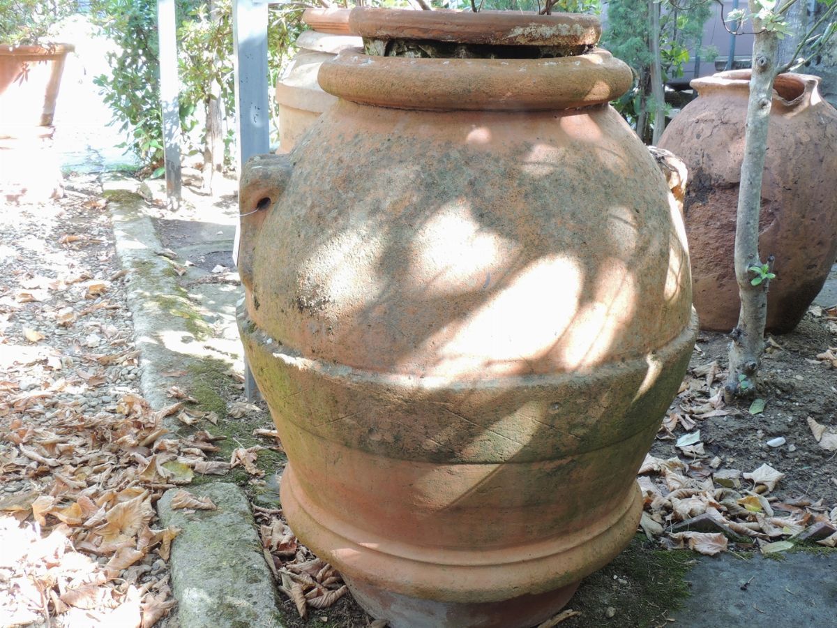 Tre Orci D'epoca in Terra di Galestro