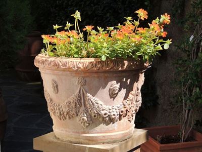 Quattro Vasi