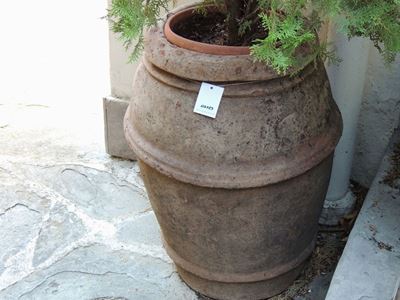 Orcetto D'epoca in Terra di Galestro