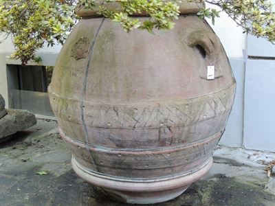 Grande Orcio in Terra di Galestro
