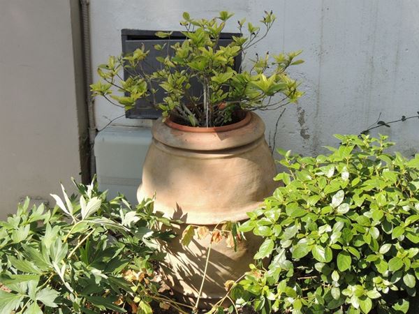 A galestro terracotta jar