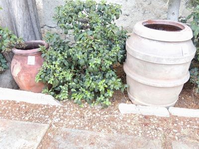 Due Orcetti in Terracotta