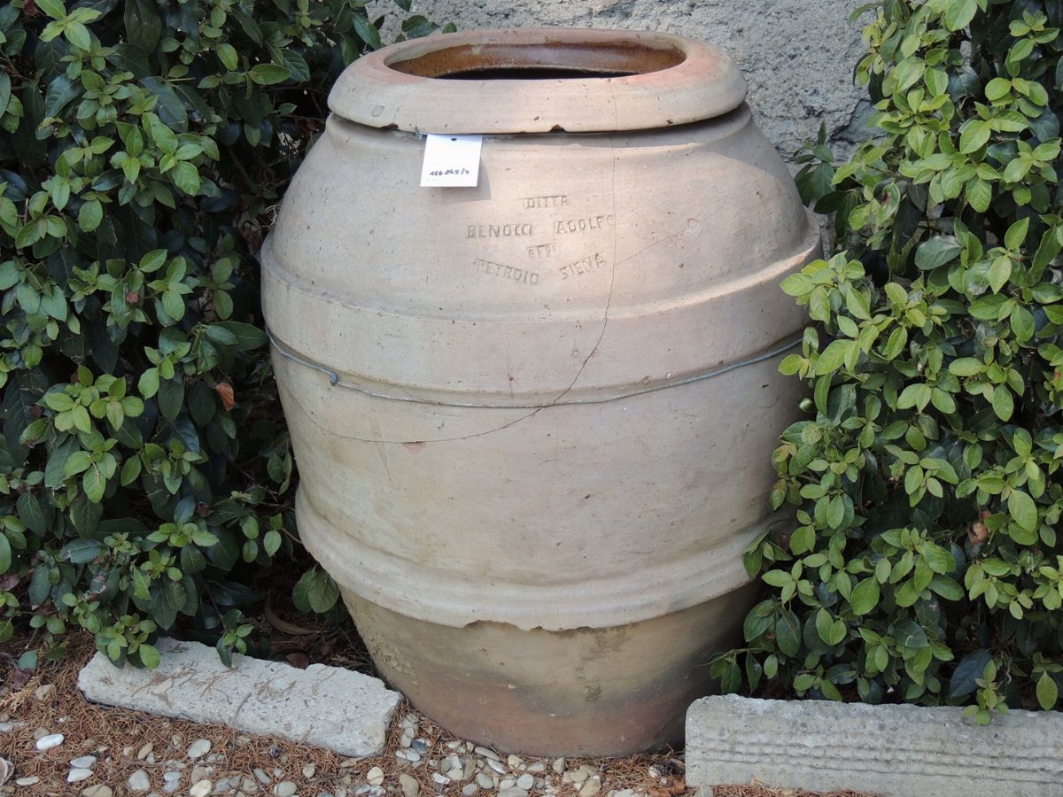 Tre Orci in Terra di Galestro