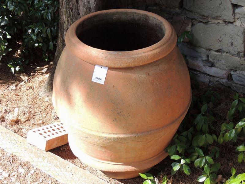 Orcio in Terra di Galestro