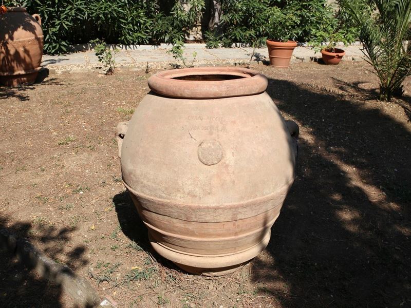 Orcio in Terra di Galestro