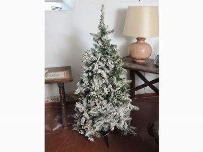 Albero di Natale