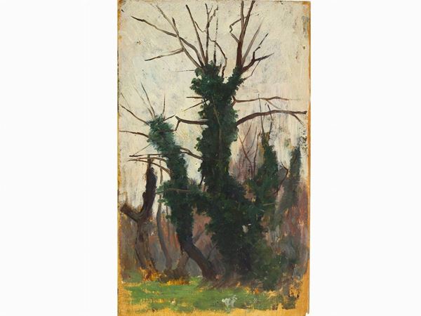 Eugenio Cecconi attribuito : Paesaggio boschivo  ((1842-1903))  - Asta Arte moderna e contemporanea - Maison Bibelot - Casa d'Aste Firenze - Milano