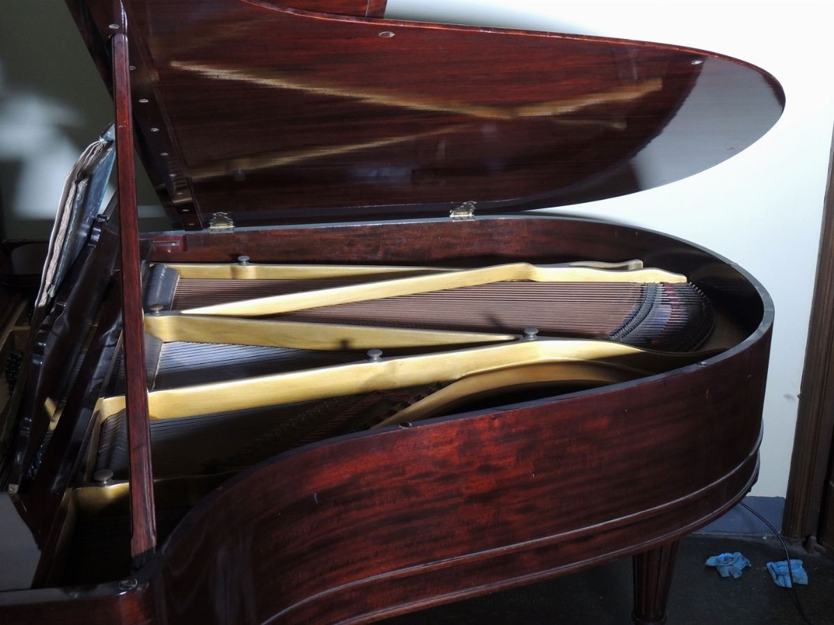 Pianoforte Starr "minum Grand"