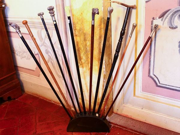 A ten walking sticks collection