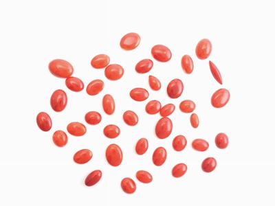 Lotto Coralli Rossi