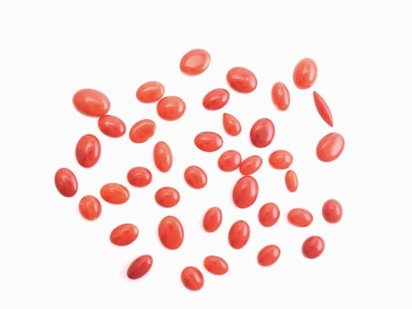 Lotto coralli rossi