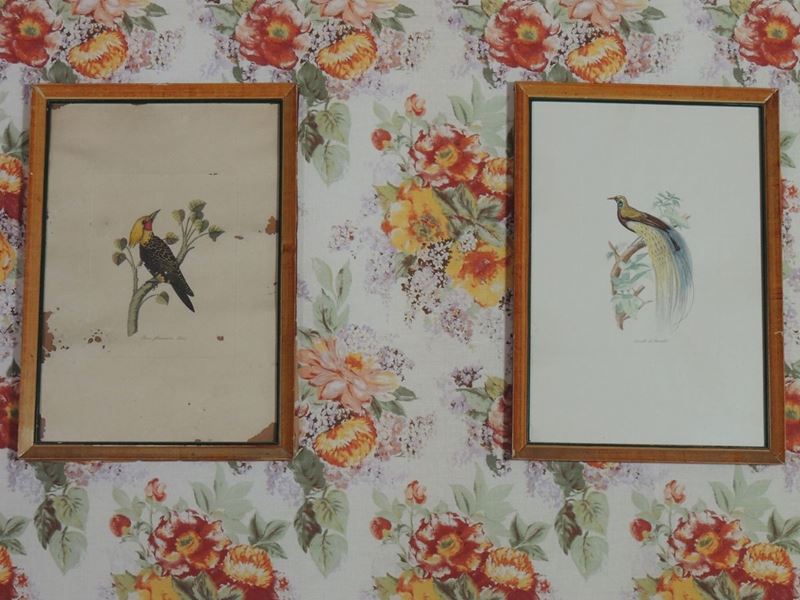Serie di Quattro Stampe Decorative con Volatili