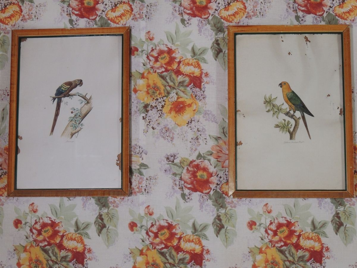 Serie di Quattro Stampe Decorative con Volatili