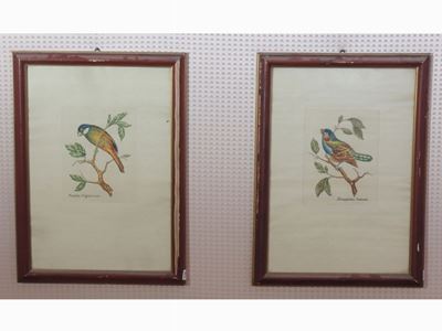Serie di Quattro Stampe Decorative con Volatili