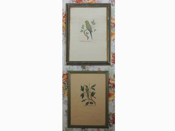 Five decorative framed prints