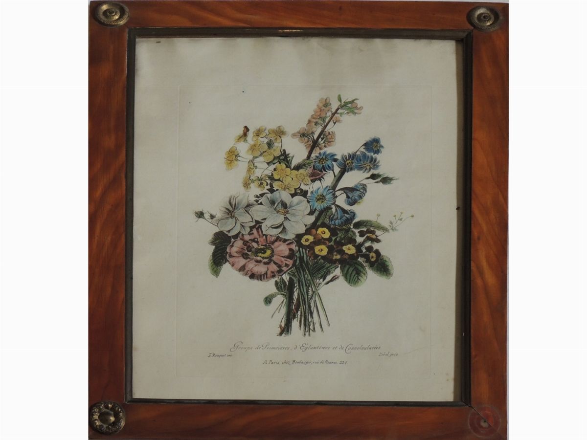 Serie di Quattro Stampe Decorative con Volatili
