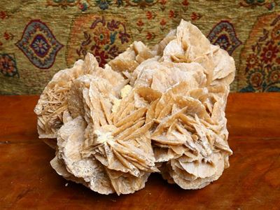 Rosa del Deserto