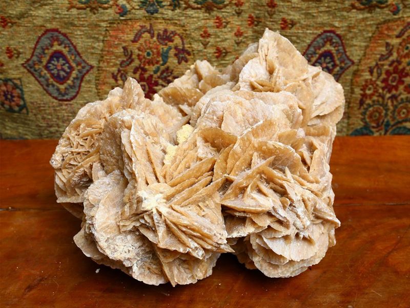 Rosa del Deserto