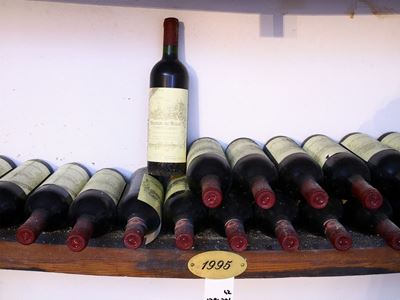 Quarantadue Bottiglie di Chianti Classico Palazzo al Bosco la Romola, 1995 e 1996