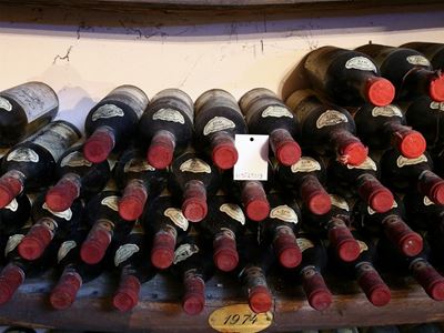 Cinquantatre Bottiglie di Chianti Classico Palazzo al Bosco la Romola, 1974